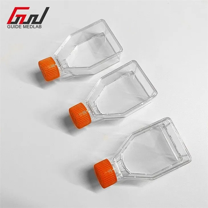 erlenmeyer flask for bacterial culture